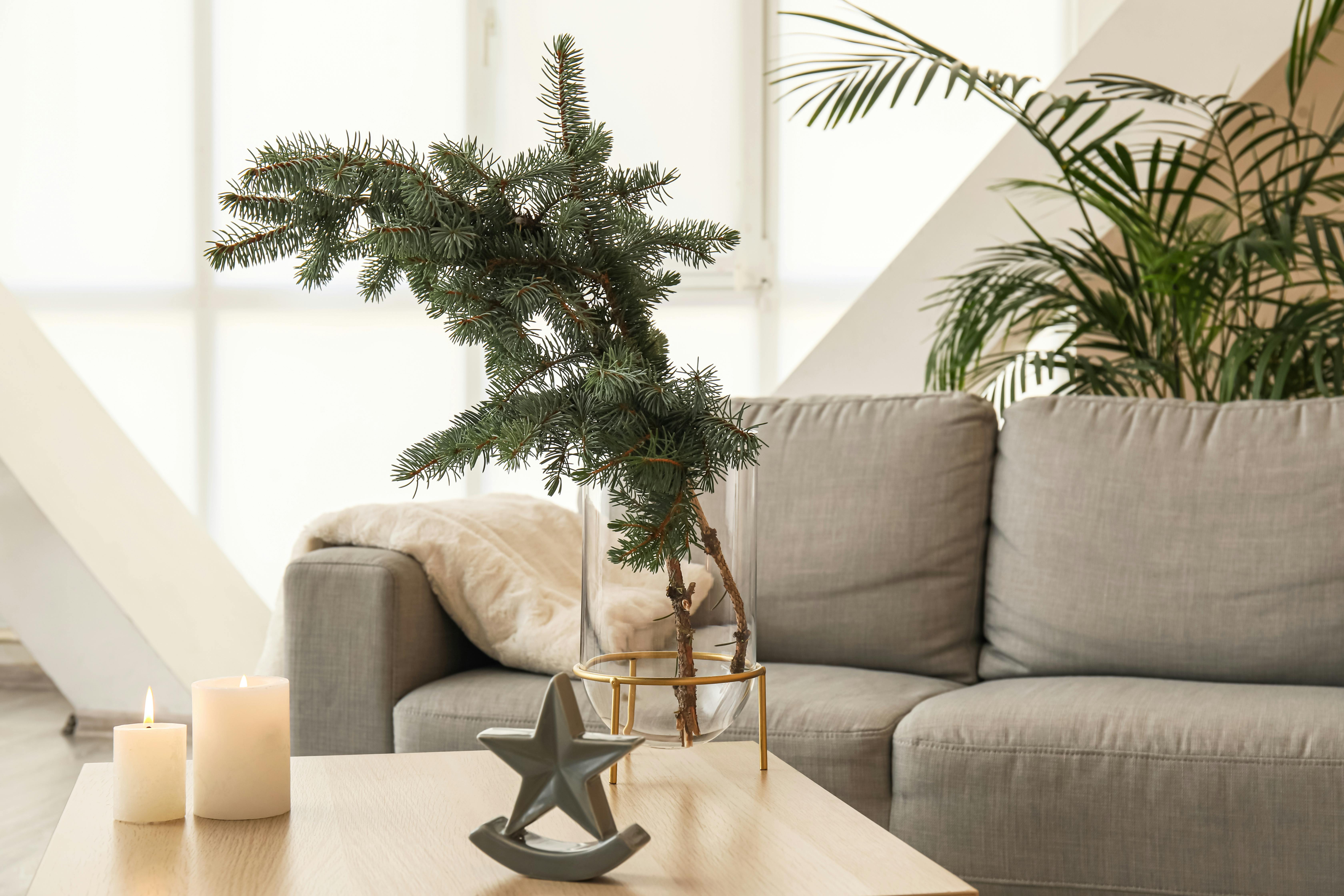 54b87e05-93f6-4148-b6b0-3365e9244b1b_AdobeStock_541064735.jpeg